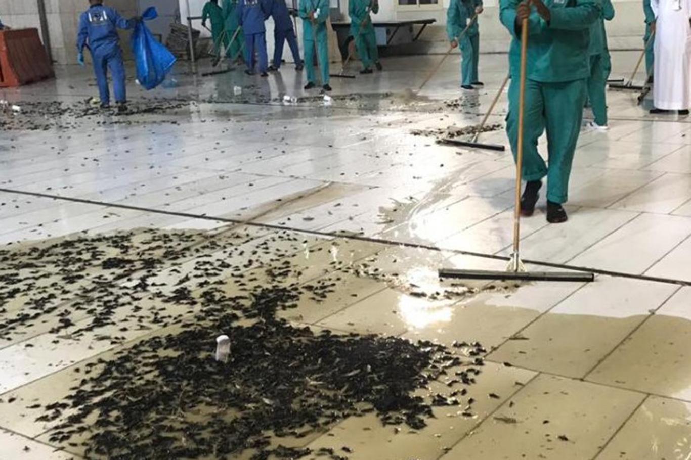 Pray could not be performed in Kaaba due to insect infestation Pray could not be performed in Kaaba due to insect infestation